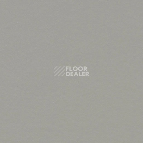 Линолеум Forbo Marmoleum Decibel on Order 337135 cement фото 1 | FLOORDEALER