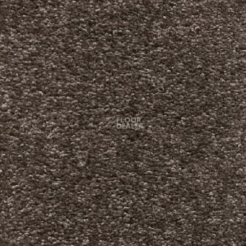 Ковролин AW Omnia 42 фото 1 | FLOORDEALER