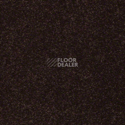 Ковролин Shaw Design Texture Platinum 796 фото 1 | FLOORDEALER
