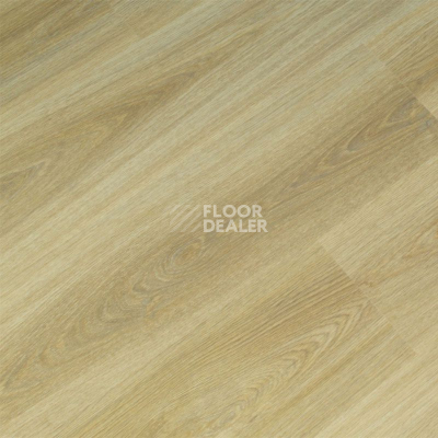 Кварцвиниловые полы FineFloor FF-1300 Light FF-1339 Дуб Кларе фото 1 | FLOORDEALER