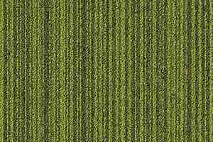 Ковровая плитка Forbo Tessera Layout & Outline 3106 fruit salad фото  | FLOORDEALER