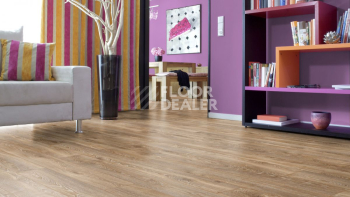 Kronotex Mammut Plus d4795 Дуб Горный бронзовый фото 4 | FLOORDEALER