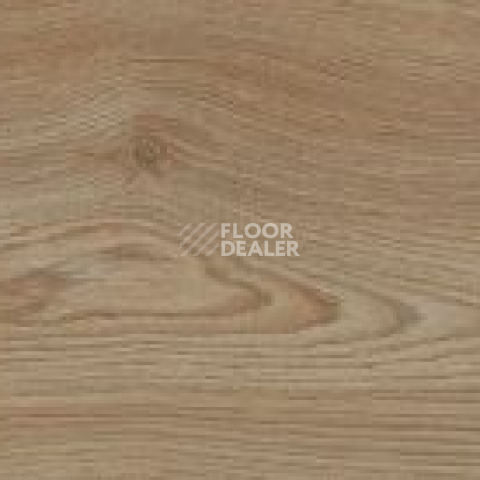 FineFloor FF-1800 Gear 1804 Алгарве фото 2 | FLOORDEALER