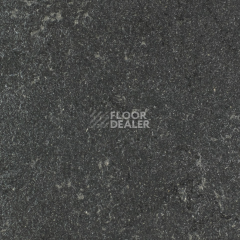 Линолеум Forbo Marmoleum Solid Concrete 3707-370735 black hole фото 1 | FLOORDEALER