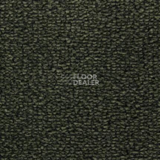 Ковролин Edel Tamino 174 фото 1 | FLOORDEALER