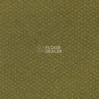 Ковролин Lano Carve Classic 530 фото 1 | FLOORDEALER