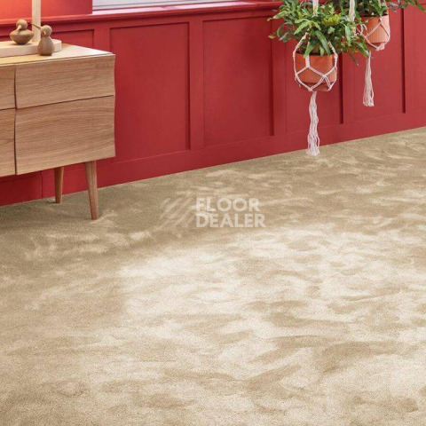 Vorwerk Superior 1067 Mira Vorwerk 8k07 фото 2 | FLOORDEALER