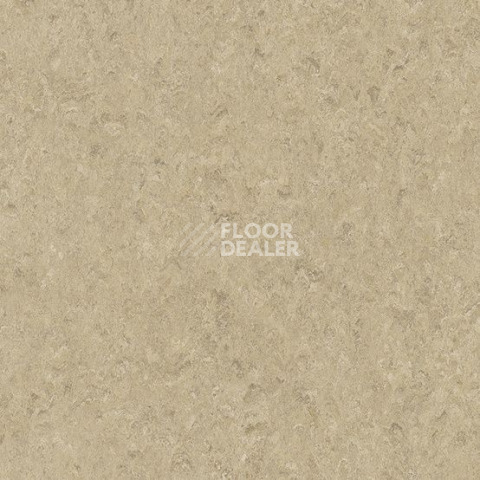 Линолеум Gerflor Marmorette DLW  2mm 0092 Beach фото 1 | FLOORDEALER