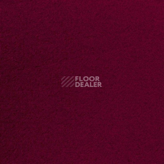 Ковролин Sintelon Eden 77630 фото 1 | FLOORDEALER