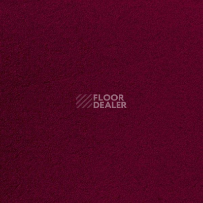 Ковролин Sintelon Eden 77630 фото 1 | FLOORDEALER
