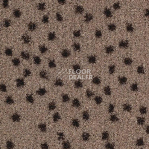 Ковролин Balsan Constellation 770 фото 1 | FLOORDEALER
