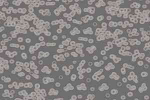 Ковролин Forbo Flotex Sottsass Bacteria 990304 фото  | FLOORDEALER