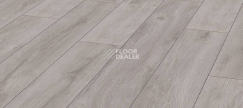 Ламинат Kronotex Robusto 12мм d4956 Дуб Серый Премиум фото 1 | FLOORDEALER