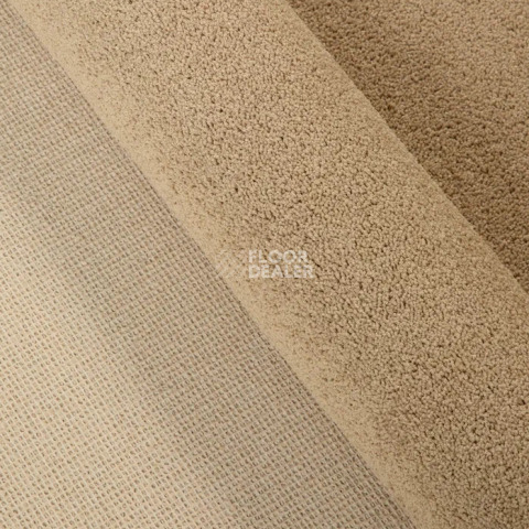 Haima Noble 41 фото 18 | FLOORDEALER