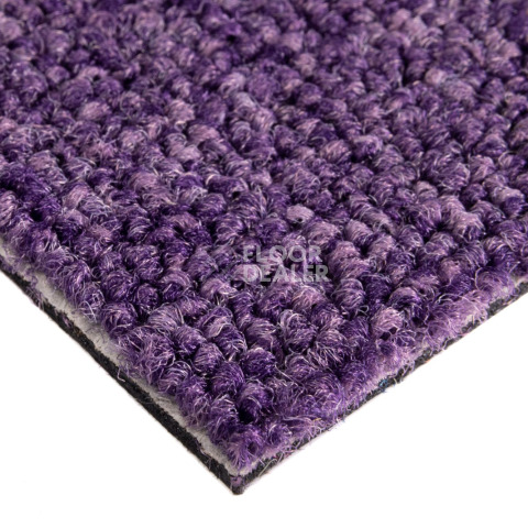 Balsan Season - Summer / Winter 870 фото 4 | FLOORDEALER