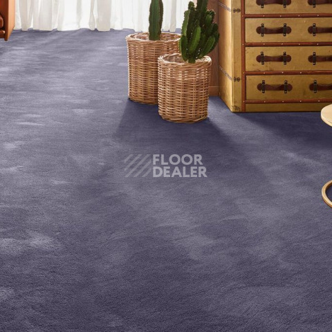 Vorwerk Exclusive 1060 Safira 3q52 фото 2 | FLOORDEALER