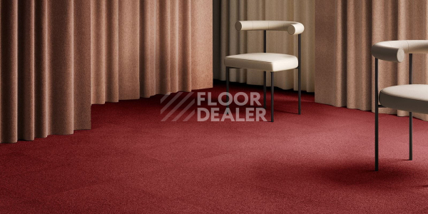 Ковровая плитка AW Maxima 12 фото 2 | FLOORDEALER