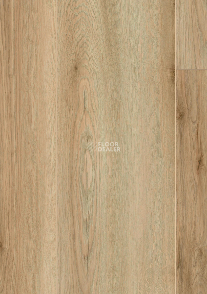 Ламинат Kronotex Exquisit Plus d80962 Дуб Эдерзее натуральный фото 1 | FLOORDEALER