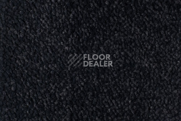 Ковролин Edel Vanity 199 фото 1 | FLOORDEALER