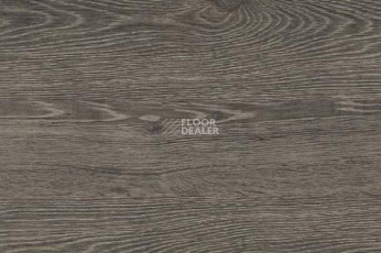 Пробковое покрытие Wood замковое OAK RUSTIC SILVER фото 1 | FLOORDEALER