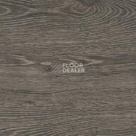 Пробковое покрытие Wood замковое OAK RUSTIC SILVER фото 1 | FLOORDEALER