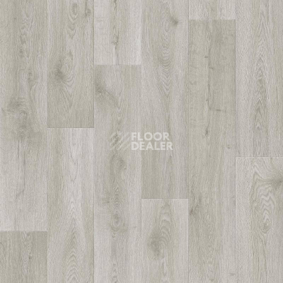 Линолеум Tarkett Absolut HELFORD 1 фото 1 | FLOORDEALER