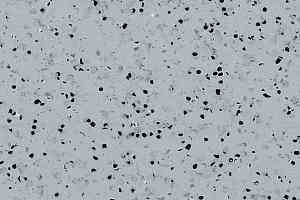 Кварцвиниловые полы Gerflor GTI El5 Ev Connect 0352_grey фото  | FLOORDEALER