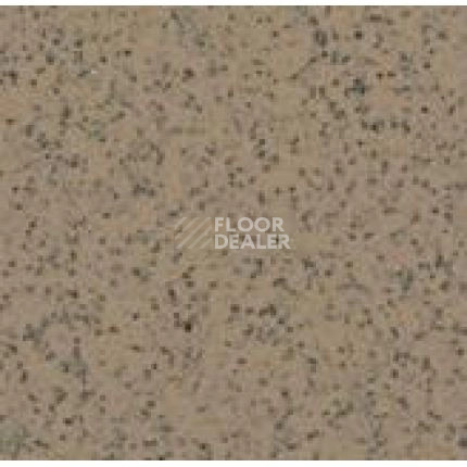 Линолеум Apoluza SportFloor PVC Emery Safety BXSF20-7202 фото 1 | FLOORDEALER