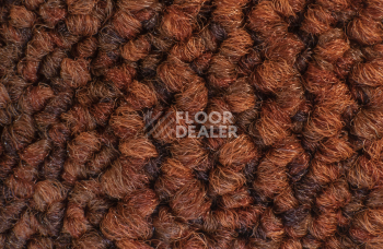 Desso Desert 5011 фото 3 | FLOORDEALER