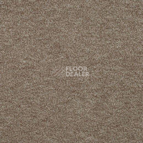 Ковролин Lano Godiva 274 фото 1 | FLOORDEALER