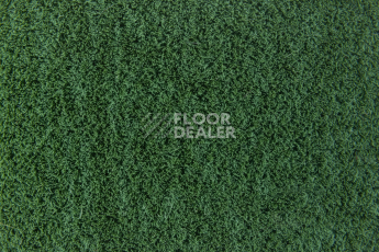 Forbo Flotex Colour Penang 50*50 t 382010 Penang Evergreen фото 2 | FLOORDEALER