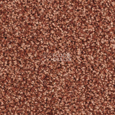 Ковролин Balsan Script 470 фото 1 | FLOORDEALER