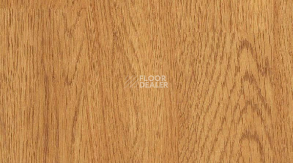 Линолеум Gerflor Taraflex evolution Wood 6375_Oak_design фото 1 | FLOORDEALER