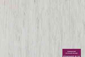 Линолеум Tarkett Standart Plus 924 фото  | FLOORDEALER