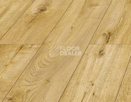 Ламинат Kronopol Platinium Terra AQUA BLOCK 8mm Kronopol Platinium Terra Aqua Block 24h Дуб Барселона D4607 фото 3 | FLOORDEALER