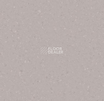 Линолеум Tarkett iq Melodia 2651 фото 1 | FLOORDEALER