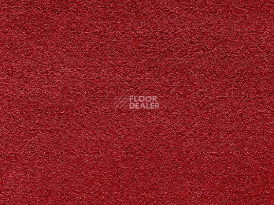 Ковролин Balta Wild Luxury Paddington Balta Wild Luxury Paddington 16 фото 1 | FLOORDEALER