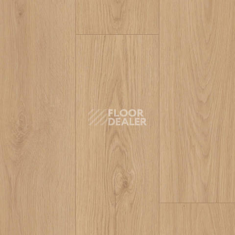Линолеум Tarkett Craft Olbany 2 фото 1 | FLOORDEALER