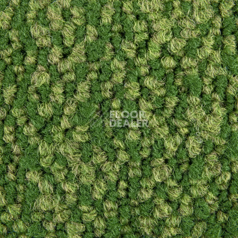 Haima Coral 30 фото 3 | FLOORDEALER