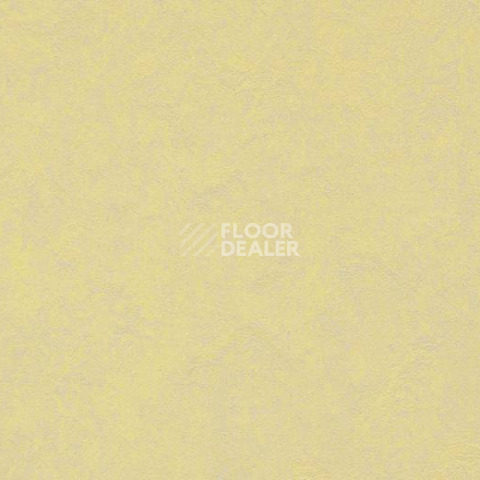 Кварцвиниловые полы Forbo Marmoleum Modular Colour 3566 фото 1 | FLOORDEALER