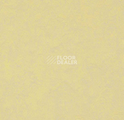 Кварцвиниловые полы Forbo Marmoleum Modular Colour 3566 фото 1 | FLOORDEALER
