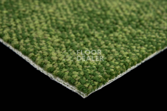Haima Coral 30 фото 5 | FLOORDEALER