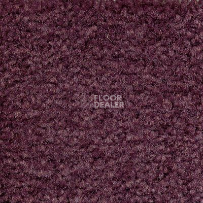Ковролин Emphatic Beaulieu of America 56940 фото 1 | FLOORDEALER