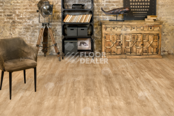 Alpine Floor Easy Line 3мм Камфора ЕСО 3-31 фото 4 | FLOORDEALER