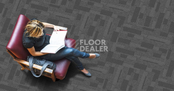 Standard Carpets City Square City Square 775 фото 2 | FLOORDEALER