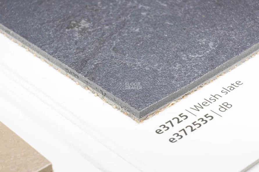 Forbo Marmoleum Solid Slate e3725-e372535 Welsh slate фото 2 | FLOORDEALER