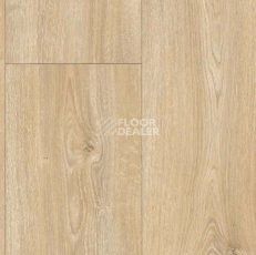 Parador Basic Plus 600 XS 1744353 Дуб Nova Светло-известковый фото 2 | FLOORDEALER