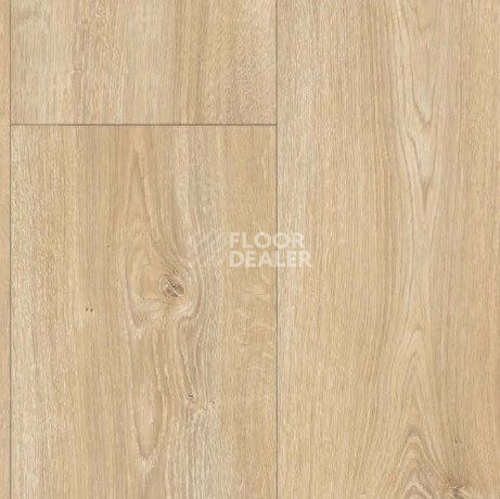 Parador Basic Plus 600 XS 1744353 Дуб Nova Светло-известковый фото 2 | FLOORDEALER