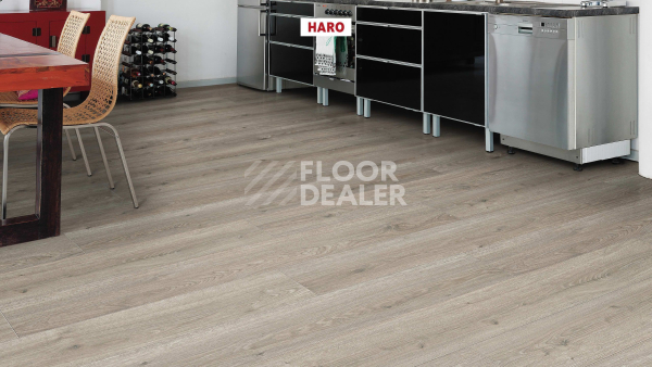Ламинат Haro Tritty 100 4V Дуб Флавия Серый 544702 фото 4 | FLOORDEALER