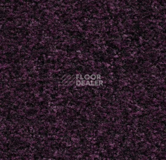 Грязезащитные покрытия Forbo Coral в плитке 5739 Byzantine Purple фото 1 | FLOORDEALER